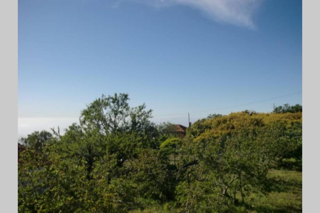 Puntagorda Casa Corea 2 מראה חיצוני תמונה